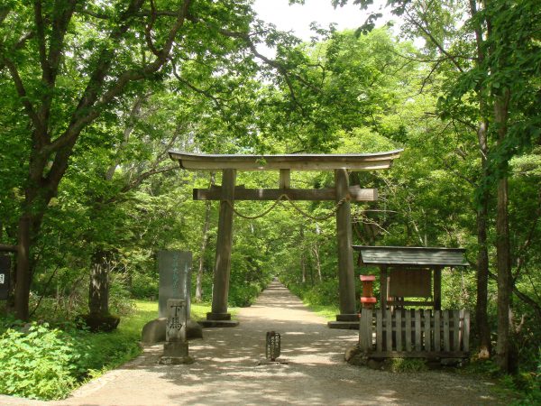 戸隠神社 奥社 九頭龍社 圧巻の参道杉並木 ノークラウド観光