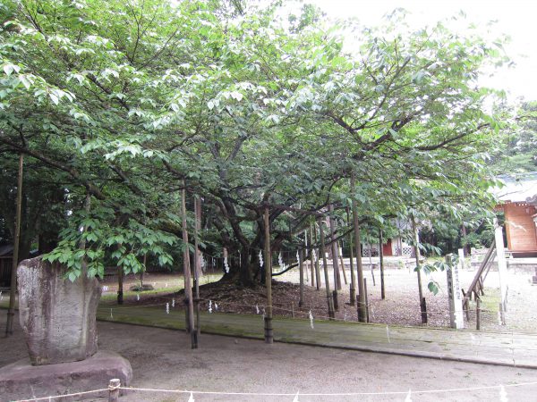 isasumi-shrine-2012-09
