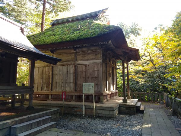 yahiko-shrine-kiku-matsuri (10)