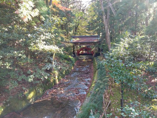 yahiko-shrine-kiku-matsuri (11)