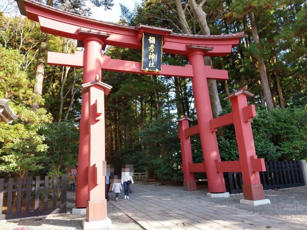 yahiko-shrine-kiku-matsuri (6)