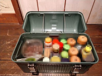 stanley-lunch-box (13)